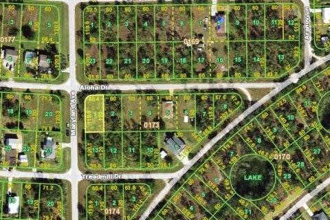 Land in Punta Gorda, Florida № 2159934