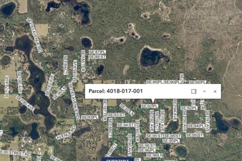 Land in Ocklawaha, Florida № 2158710 - photo 2