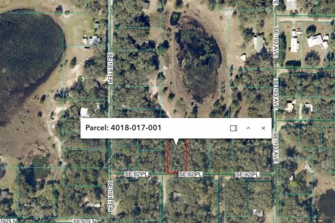Land in Ocklawaha, Florida № 2158710