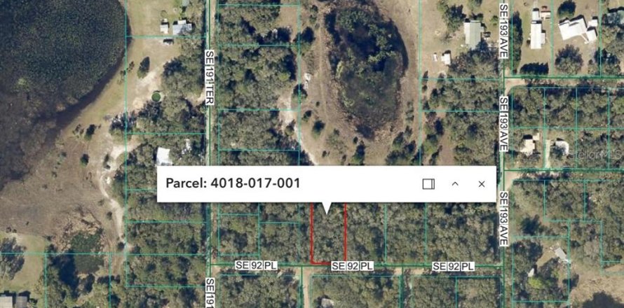 Land in Ocklawaha, Florida № 2158710