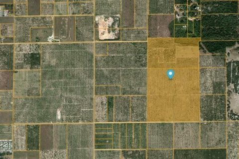Terrain à Sebring, Floride № 2097532