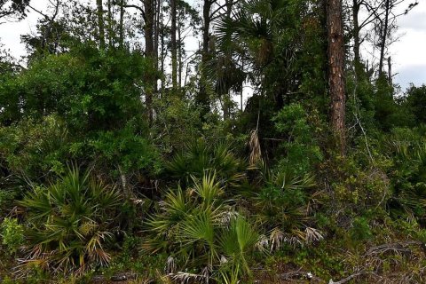 Land in North Port, Florida № 2165758