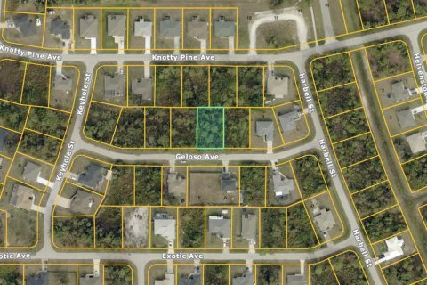 Land in North Port, Florida № 2165758 - photo 3