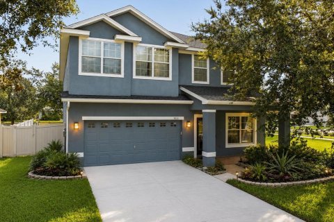 Villa ou maison à Land O' Lakes, Floride 6 chambres, 314.57 m2 № 2314609