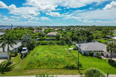 Terreno en venta en Port Charlotte, Florida № 1917508 - foto 2