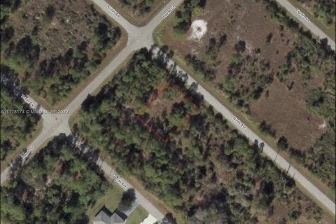 Terrain à Punta Gorda, Floride № 2080287