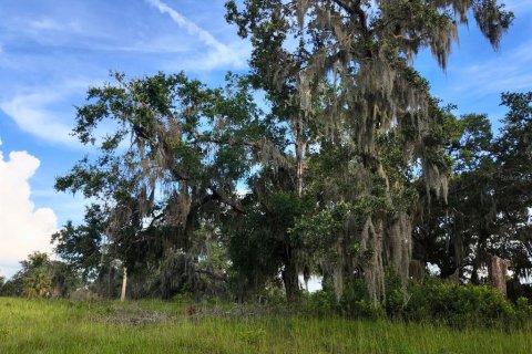 Land in Umatilla, Florida № 1813594 - photo 23