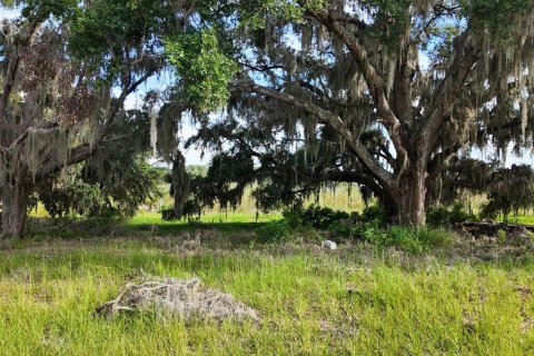 Land in Umatilla, Florida № 1813594 - photo 26