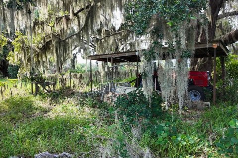 Land in Umatilla, Florida № 1813594 - photo 28