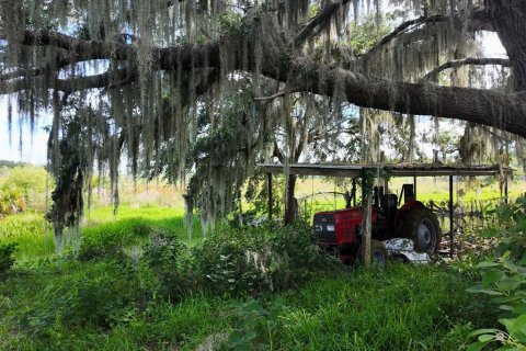 Land in Umatilla, Florida № 1813594 - photo 29
