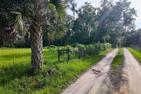 Land in Umatilla, Florida № 1813594 - photo 11