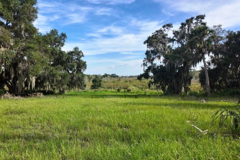 Land in Umatilla, Florida № 1813594 - photo 17