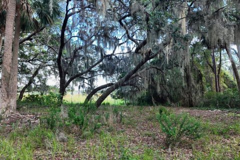 Land in Umatilla, Florida № 1813594 - photo 21