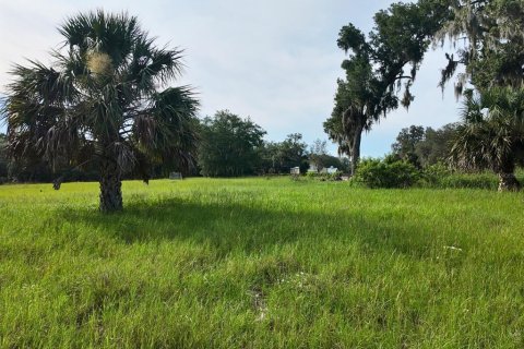 Land in Umatilla, Florida № 1813594 - photo 30