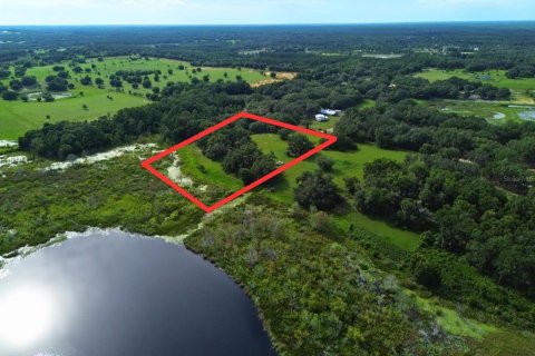 Land in Umatilla, Florida № 1813594 - photo 9