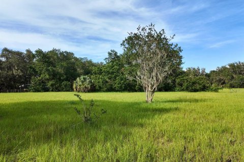 Land in Umatilla, Florida № 1813594 - photo 19