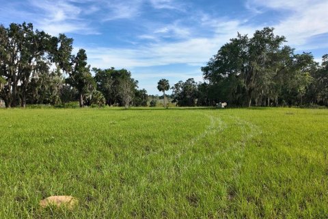 Land in Umatilla, Florida № 1813594 - photo 16