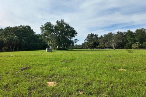Land in Umatilla, Florida № 1813594 - photo 13