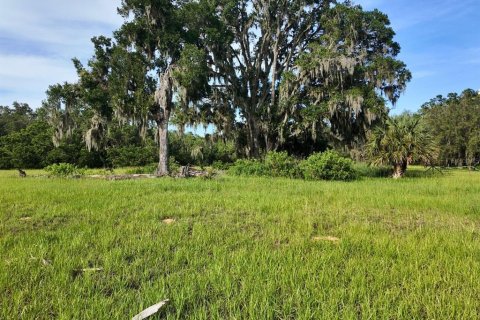 Land in Umatilla, Florida № 1813594 - photo 22