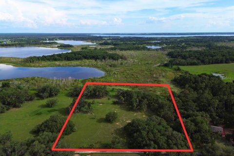 Land in Umatilla, Florida № 1813594 - photo 3
