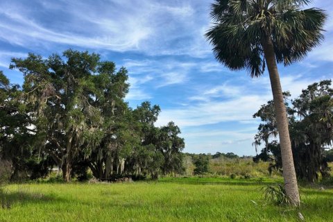 Land in Umatilla, Florida № 1813594 - photo 18