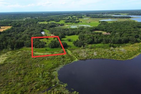 Land in Umatilla, Florida № 1813594 - photo 8