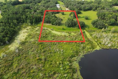 Land in Umatilla, Florida № 1813594 - photo 10