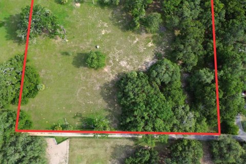 Land in Umatilla, Florida № 1813594 - photo 6
