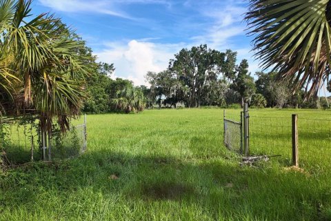 Land in Umatilla, Florida № 1813594 - photo 12