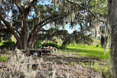 Land in Umatilla, Florida № 1813594 - photo 24
