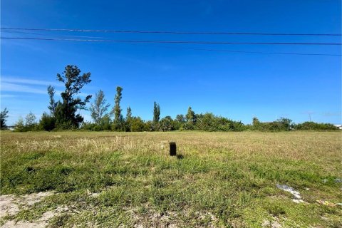 Land in Cape Coral, Florida № 1773869 - photo 6