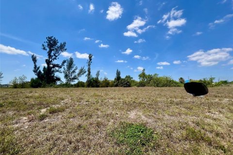 Land in Cape Coral, Florida № 1773869 - photo 2