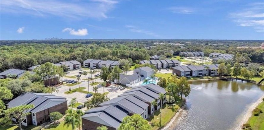 Condominio en Saint Petersburg, Florida, 1 dormitorio № 2216023