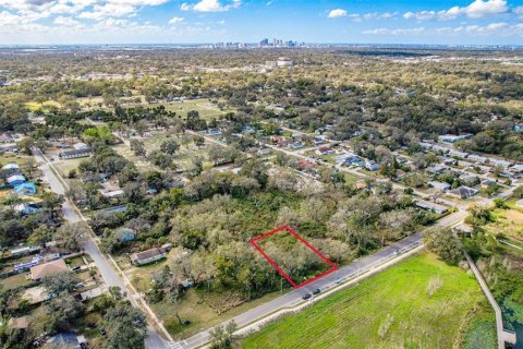 Land in Tampa, Florida № 1518534 - photo 4