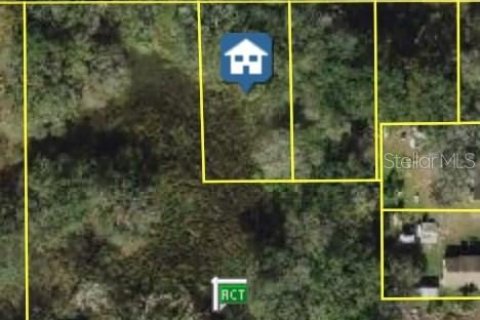 Land in Tampa, Florida № 1518534 - photo 1