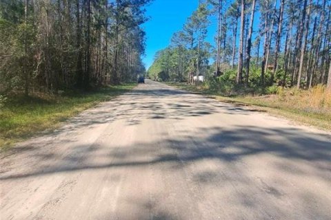 Terrain à vendre à Bunnell, Floride № 2204492 - photo 4