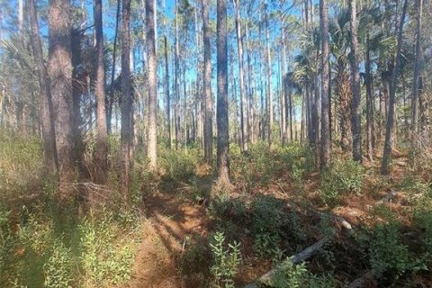 Terrain à vendre à Bunnell, Floride № 2204492 - photo 3