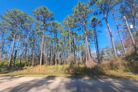 Terrain à Bunnell, Floride № 2204492