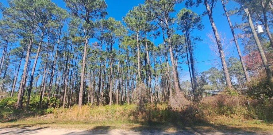 Terrain à Bunnell, Floride № 2204492