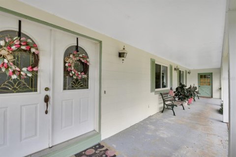 Villa ou maison à vendre à DeLand, Floride: 6 chambres, 455.22 m2 № 2406661 - photo 7