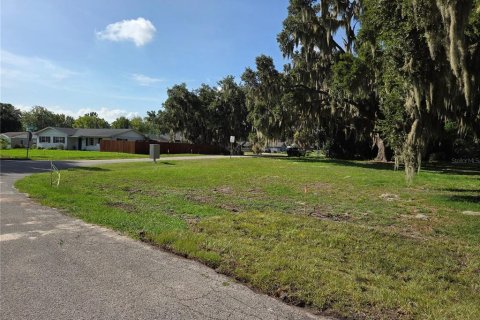 Land in Yalaha, Florida № 2210589 - photo 15