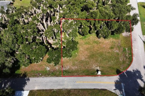 Land in Yalaha, Florida № 2210589 - photo 8