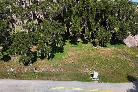 Land in Yalaha, Florida № 2210589 - photo 4