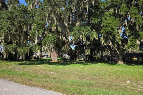 Land in Yalaha, Florida № 2210589 - photo 19