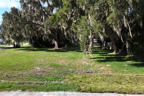 Land in Yalaha, Florida № 2210589 - photo 5