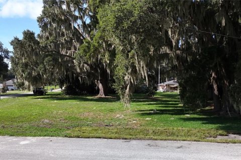 Land in Yalaha, Florida № 2210589 - photo 6