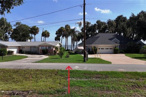 Land in Yalaha, Florida № 2210589 - photo 12