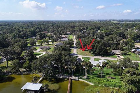 Land in Yalaha, Florida № 2210589 - photo 13