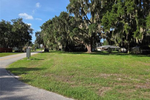 Land in Yalaha, Florida № 2210589 - photo 16