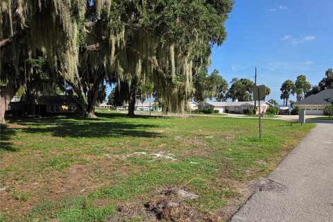 Land in Yalaha, Florida № 2210589 - photo 18